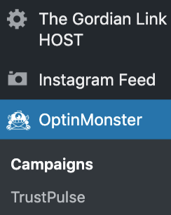 Optinmonster Wordpress Dashboard