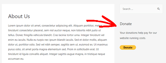 Donate Widget In Sidebar