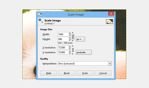 Resizing Gimp