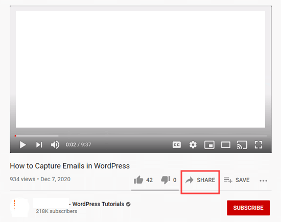 Share Button Youtube