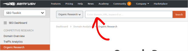 Semrush Search Terms