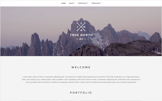 Truenorth Portfolio Theme