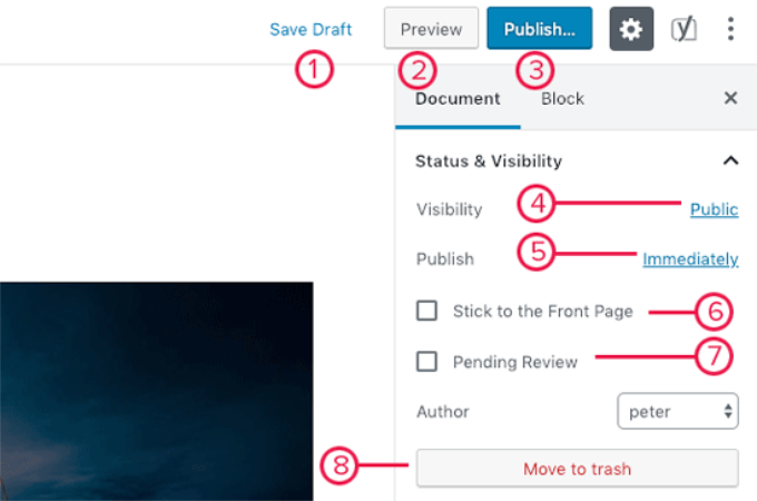 Opzioni di pubblicazione nel post di WordPress